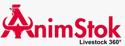 AnimStok